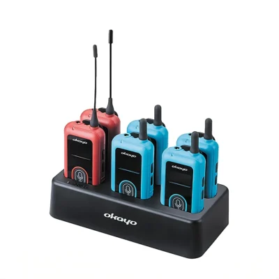 Sistem tourguide Okayo TeamsGo Wave Teams – configurabil